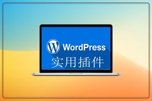 外贸wordpress实用正版SEO插件！